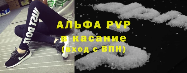 индика Балахна