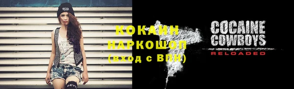 индика Балахна