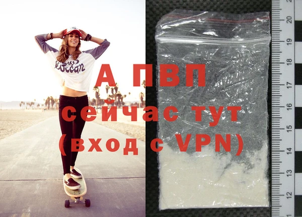 индика Балахна