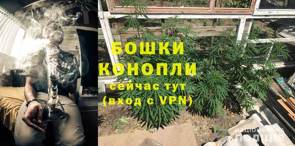 индика Балахна