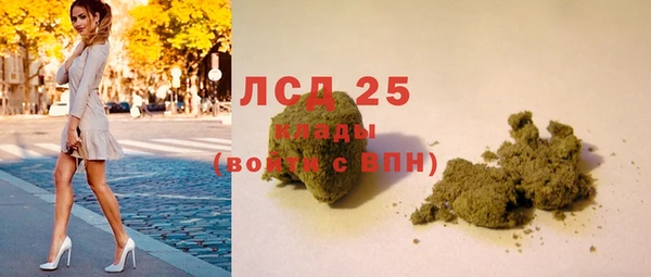 индика Балахна