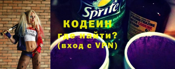индика Балахна