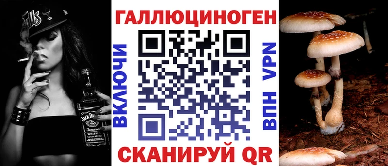 Псилоцибиновые грибы Psilocybe  Беломорск 